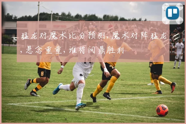猛龙对魔术比分预测,魔术对阵猛龙,悬念重重,谁将问鼎胜利